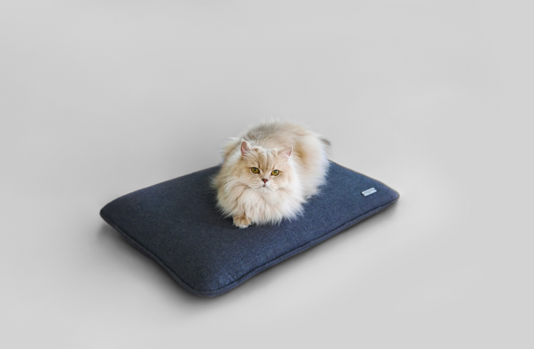 mobilier pour chat design